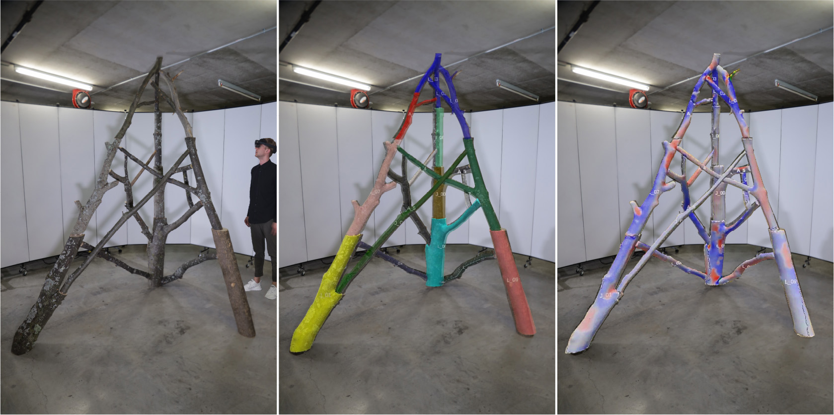 Three images of an irregular log structure with various colors superimposed on each image.