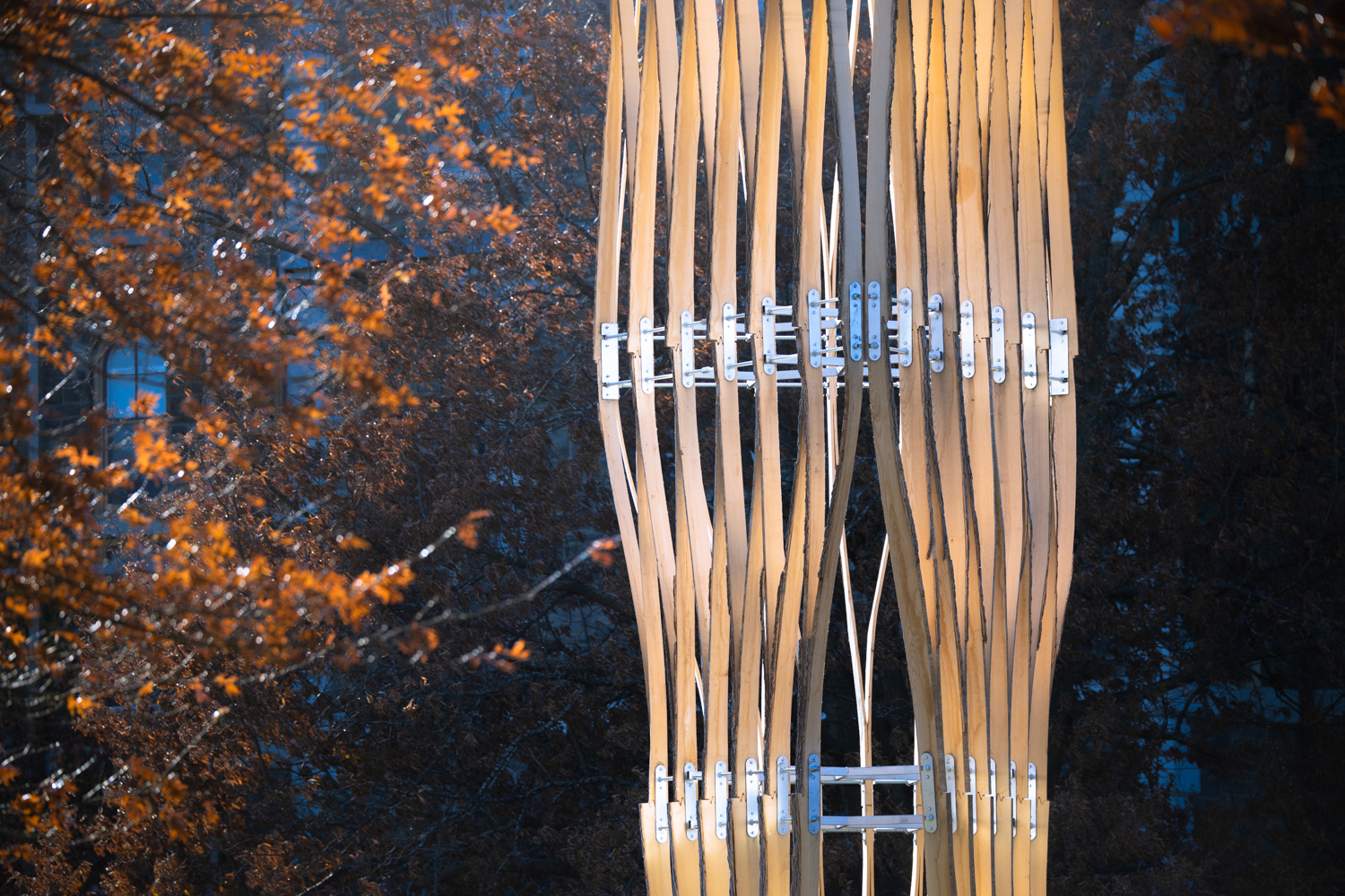 Closeup image of a wooden beam tower with metal braces, positioned in front of a tree with orange leaves.