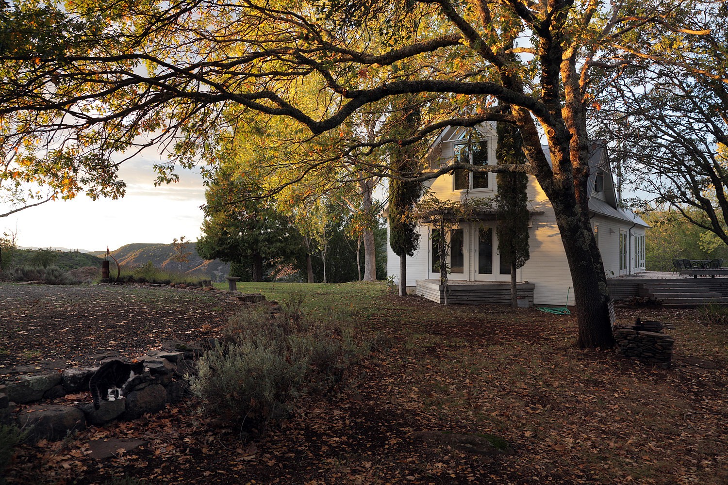 South facade of a white house with glass doors and a deck.
