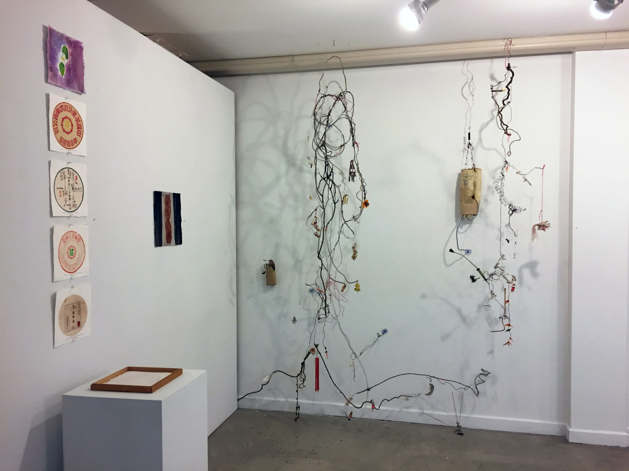 Artistic sculptures of vines hang from the ceiling in front of a white wall.