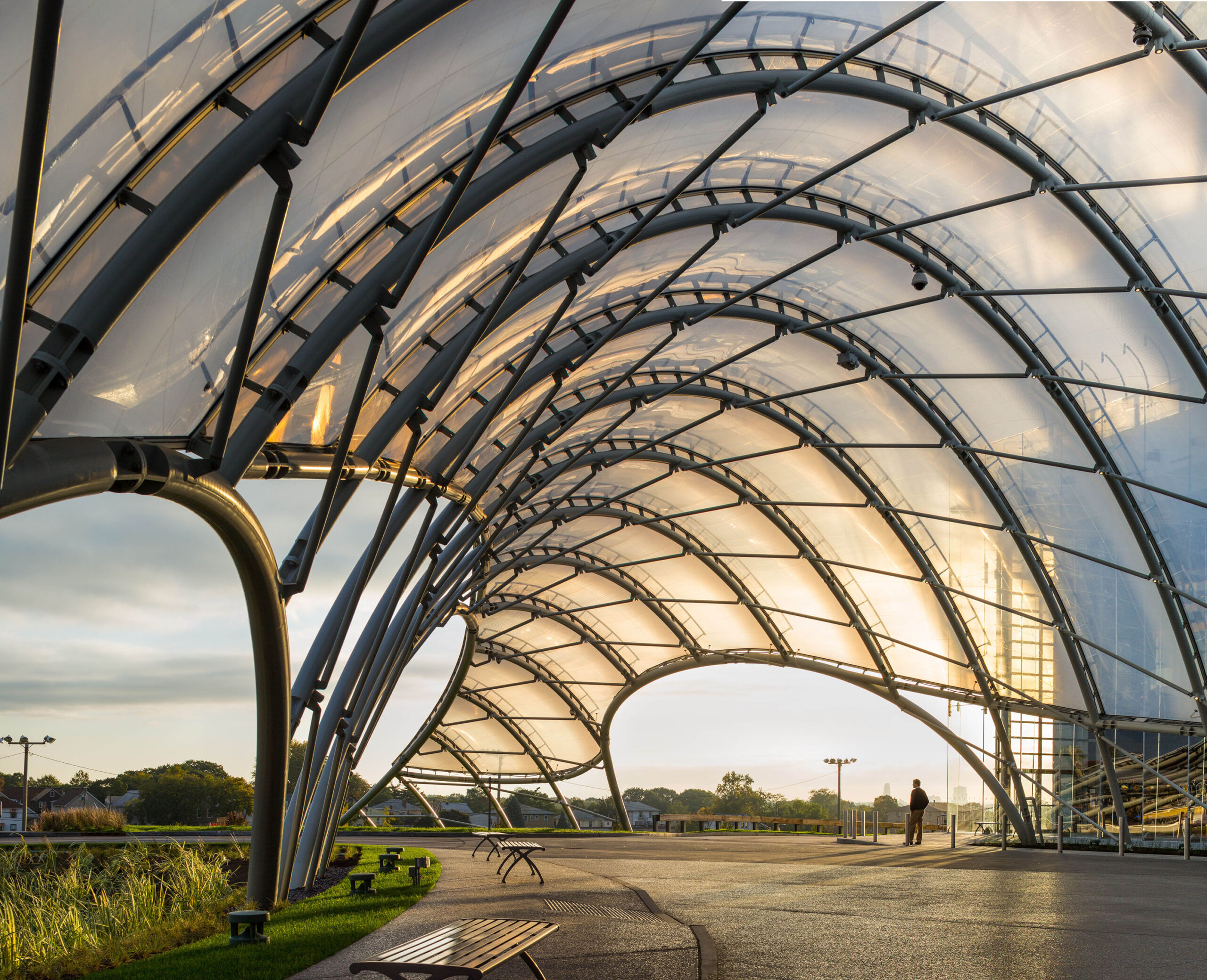 Interior view of the steel grid-shell's curved facade of suspended glass.
