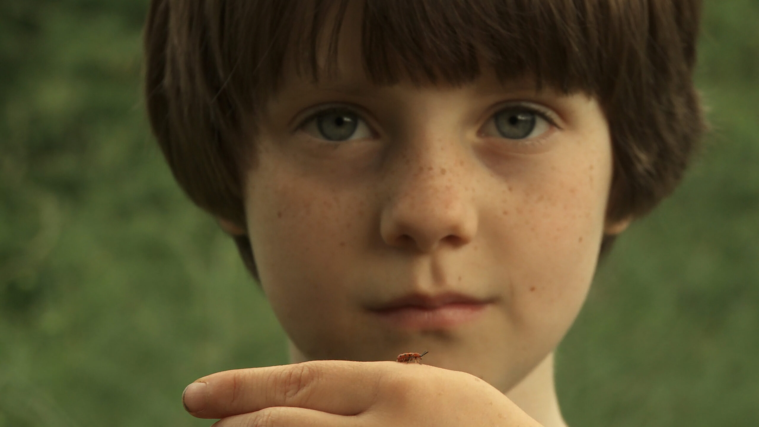 A child looks at the camera while holding a bug on the side of their hand