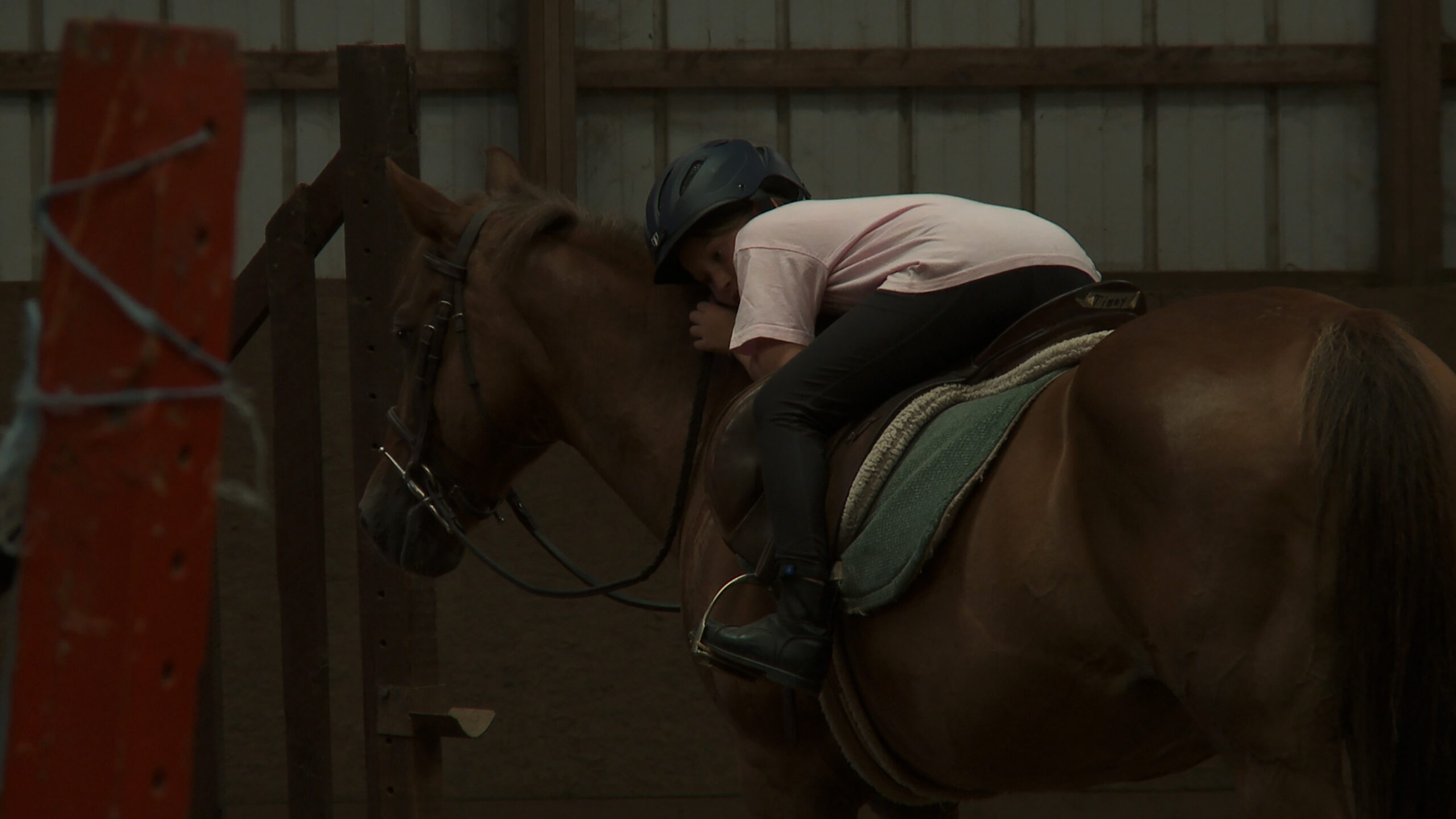 A child wearing a helmet lies on the back of a horse