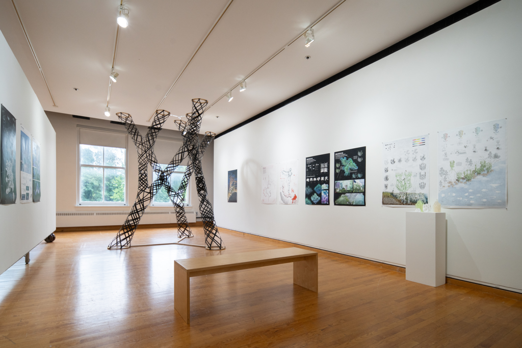 An art gallery with a large spiral sculpture in the middle of the floor.