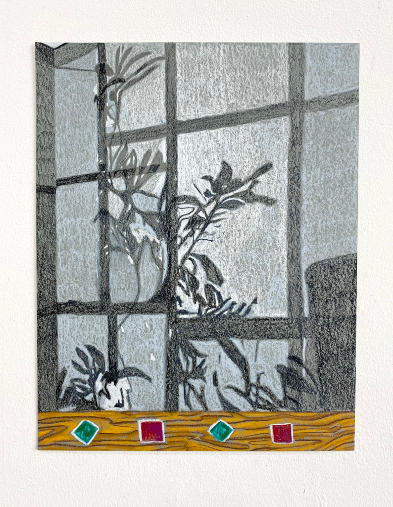 Drawing of a plant in shadow in a window