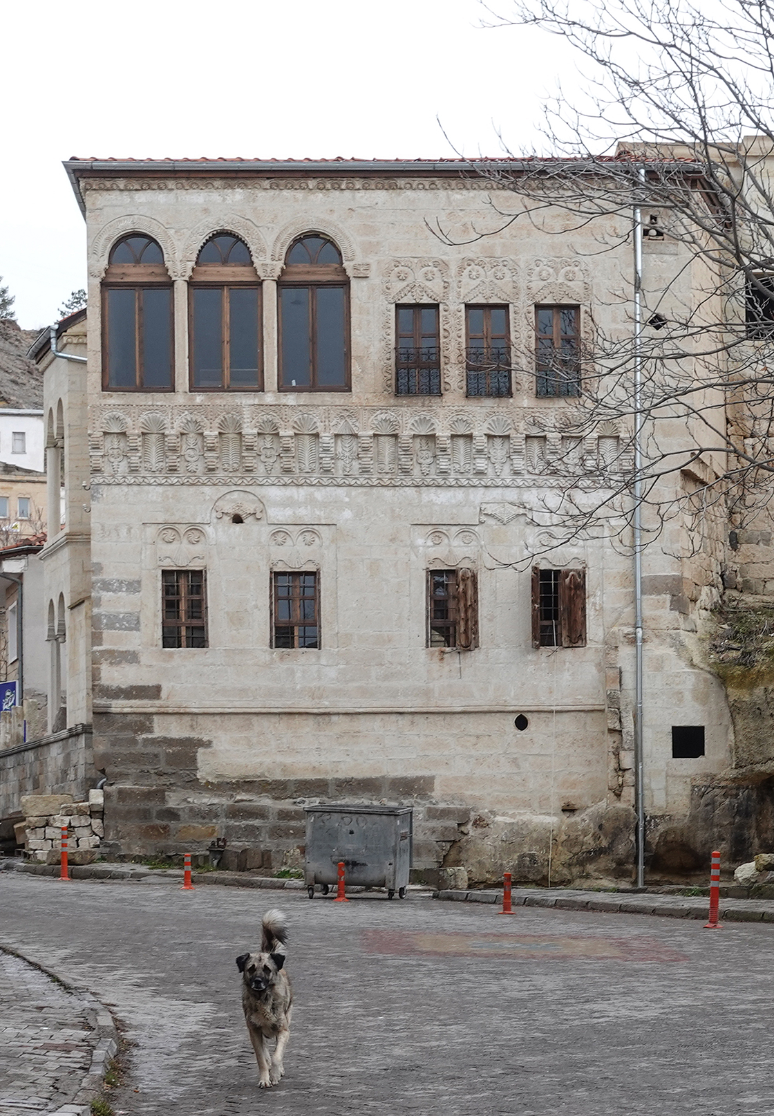 Dog standing in a brick road