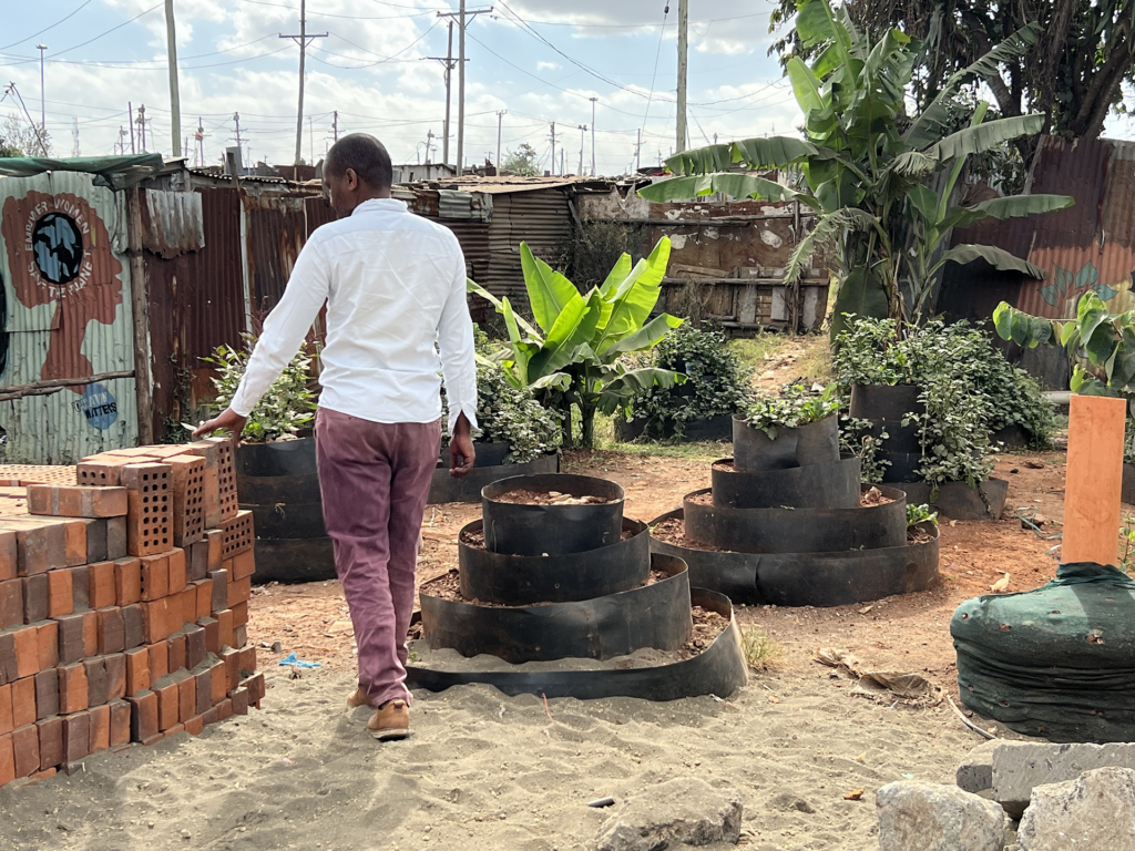 Man walking through a garden.