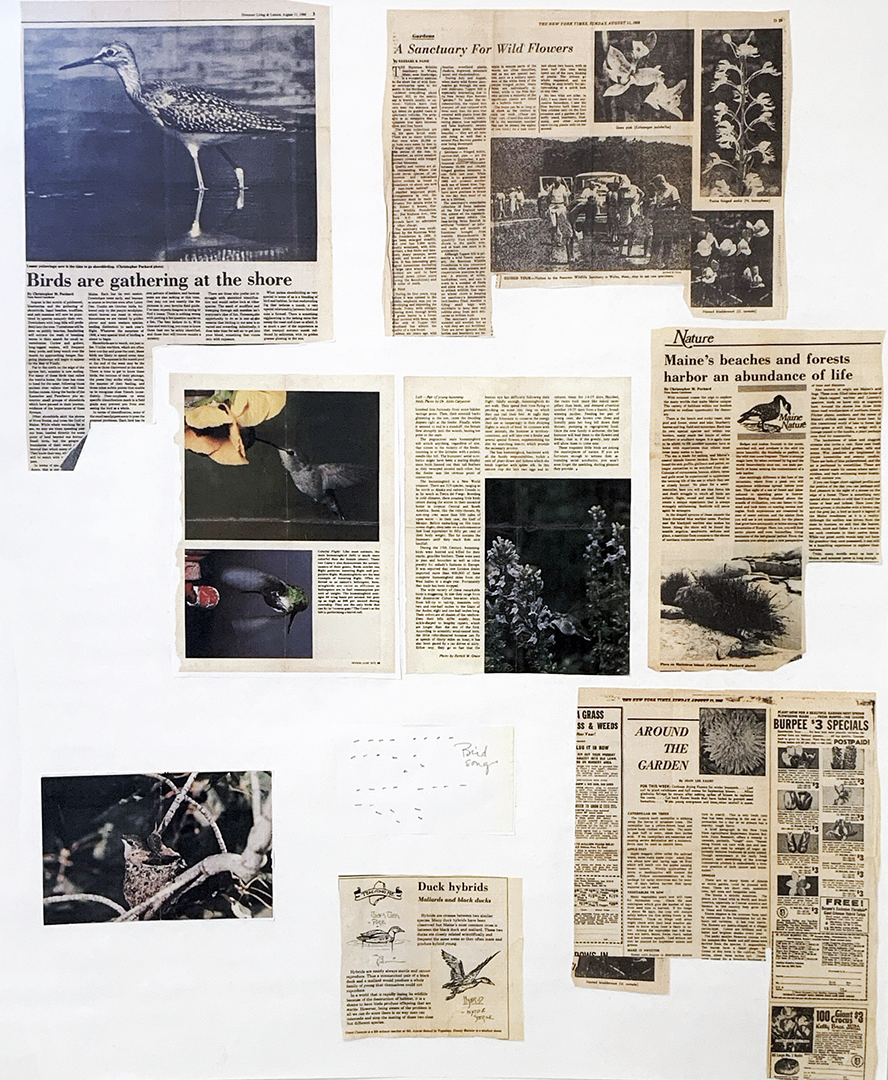 Collage of newspaper clippings