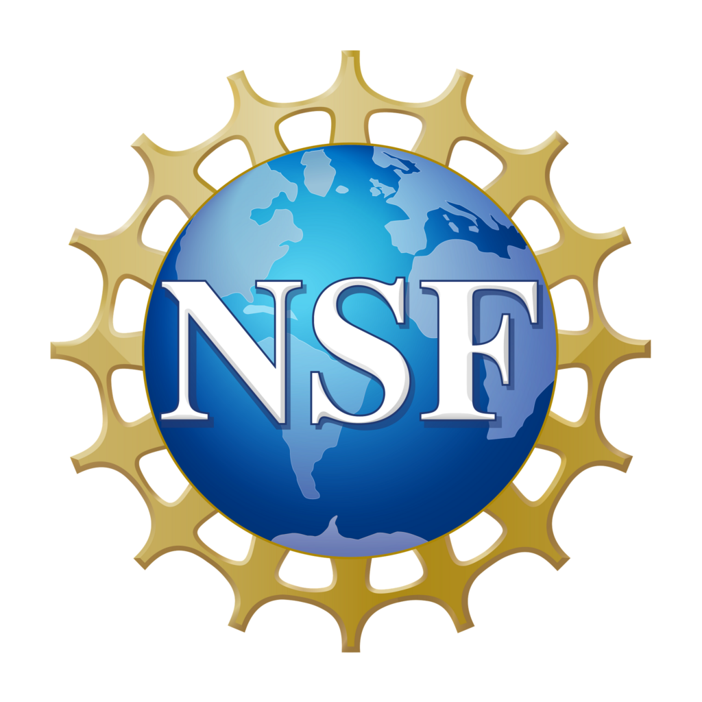 A logo containing the letters N, S, F.