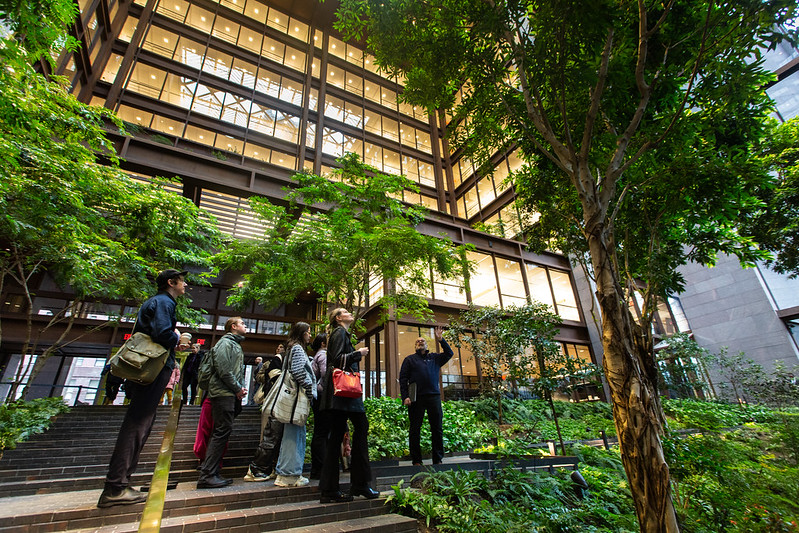 a group of people outside surrounded by trees and a building