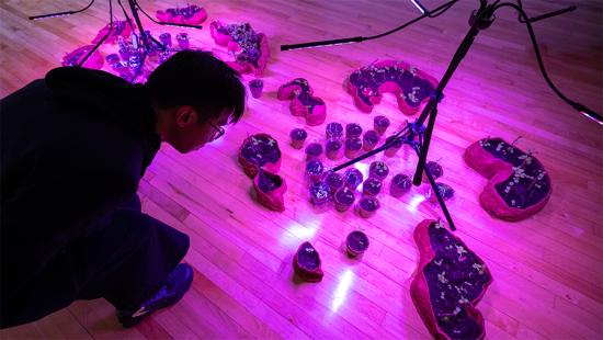 Student examining installed artwork on a wooden floor