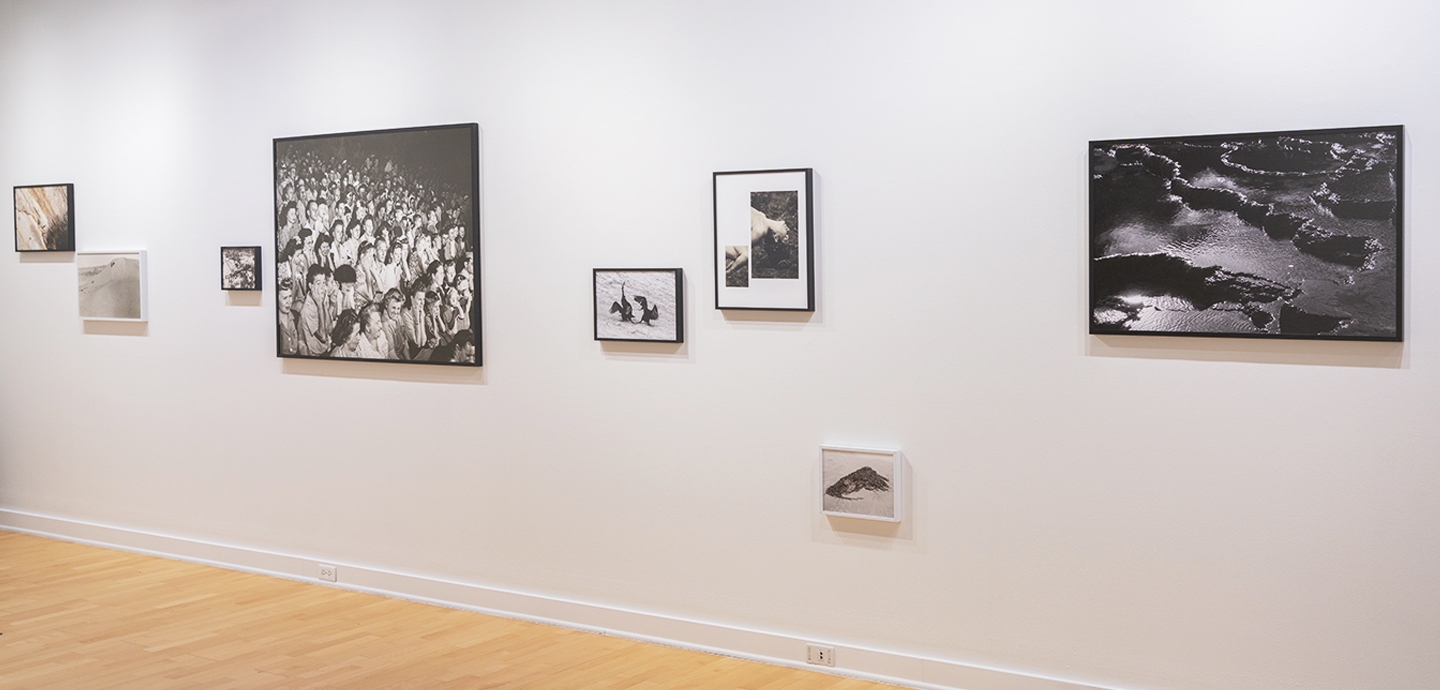 An art gallery with several framed black and white photographs installed on the wall.