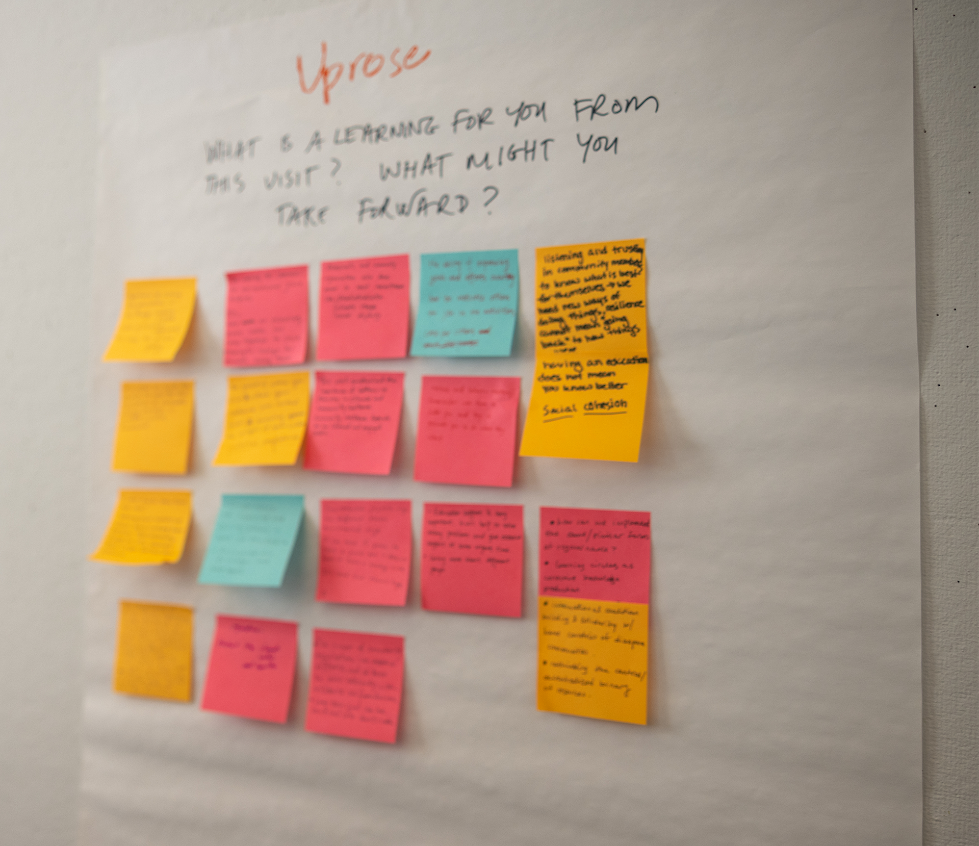 postit notes arranged on a wall