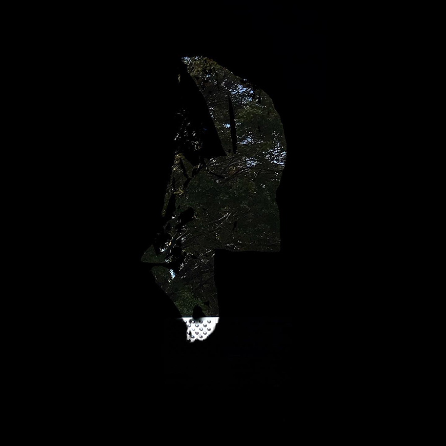 A solid black background with glimpses of shadowy trees through an abstract shape cut into the background.