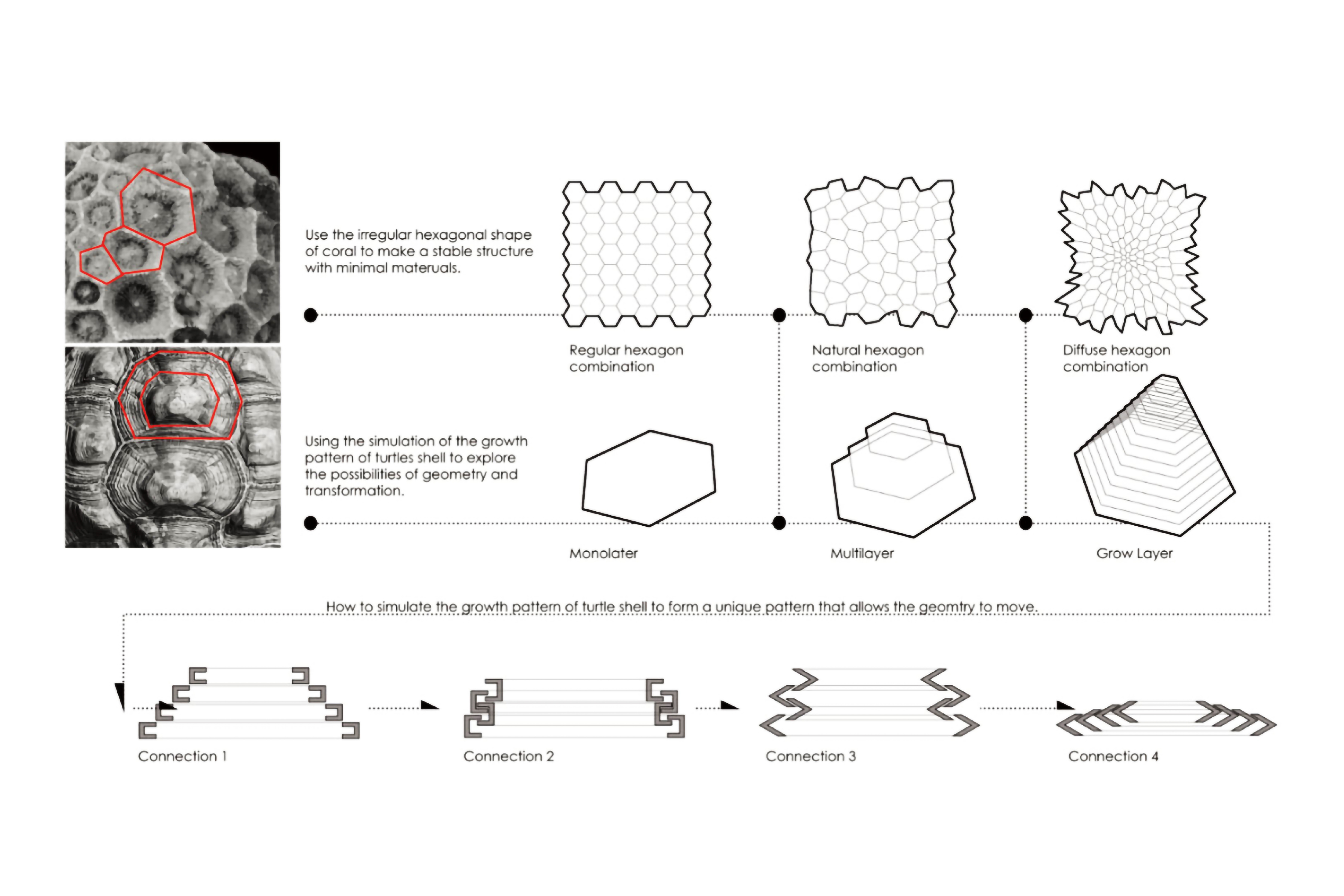 A chart showing how structures from coral and turtle shells inspired different design iterations.