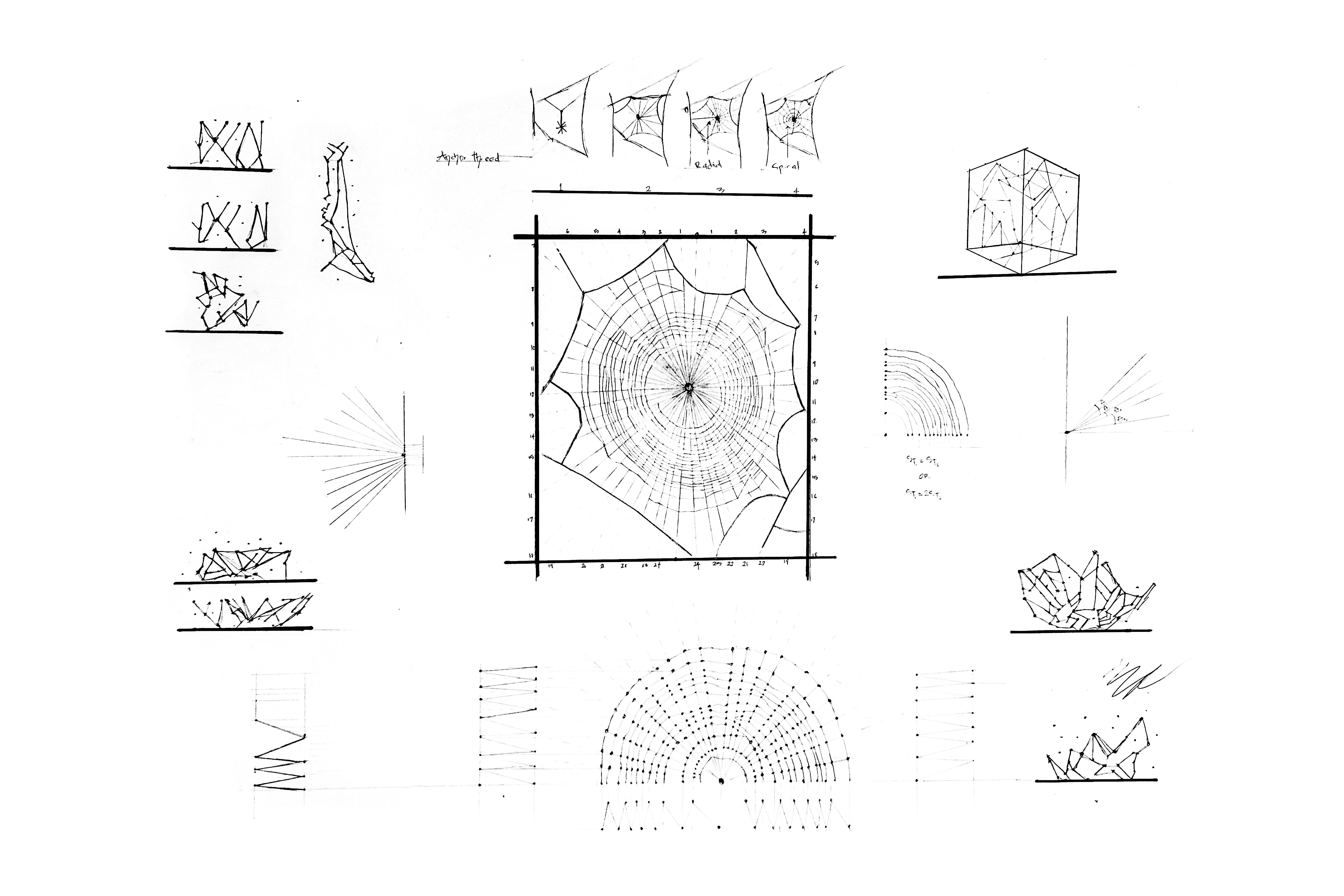Multiple drawings of spider web-like structures.
