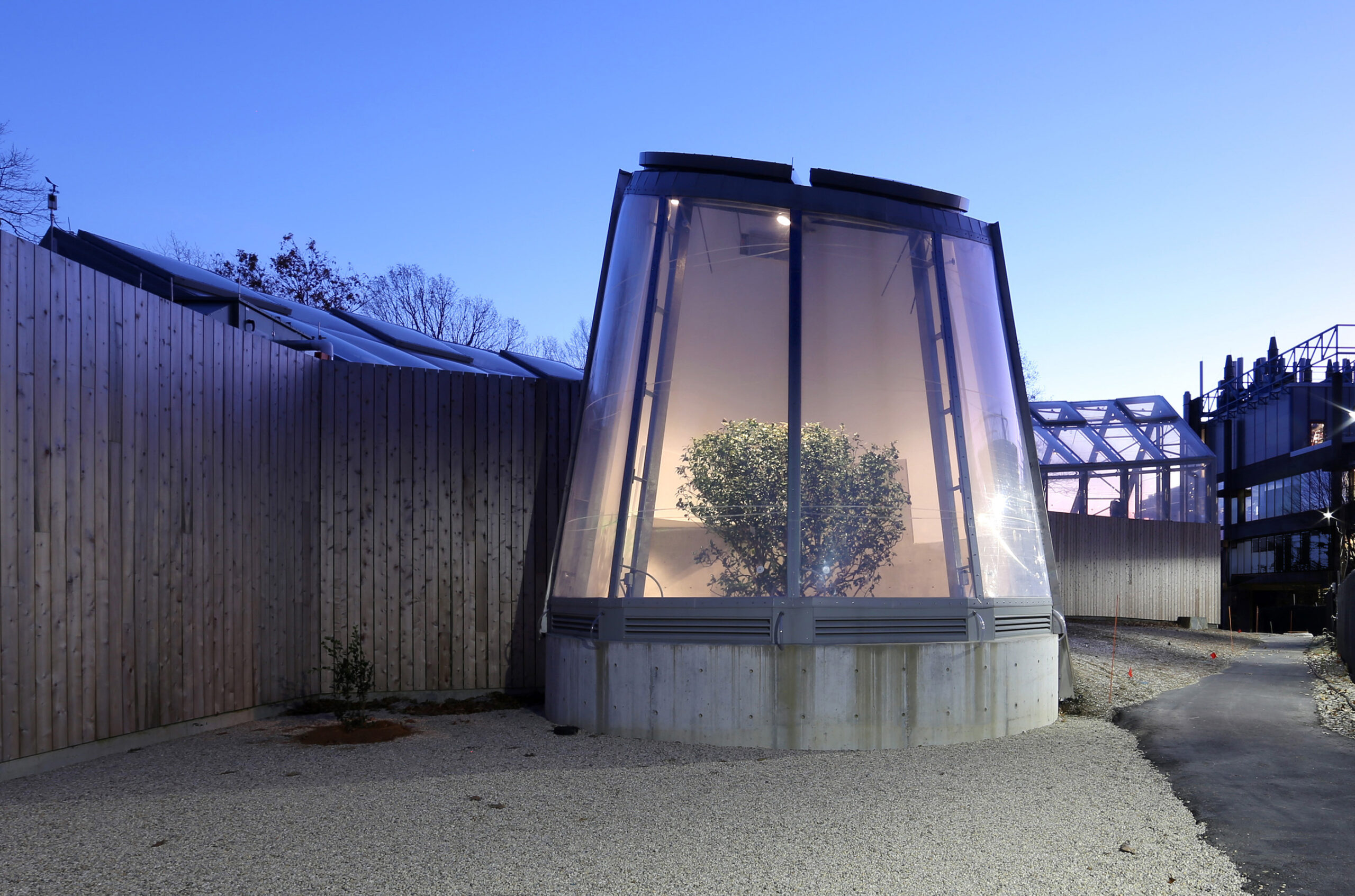Window peering into a room with a tree inside.