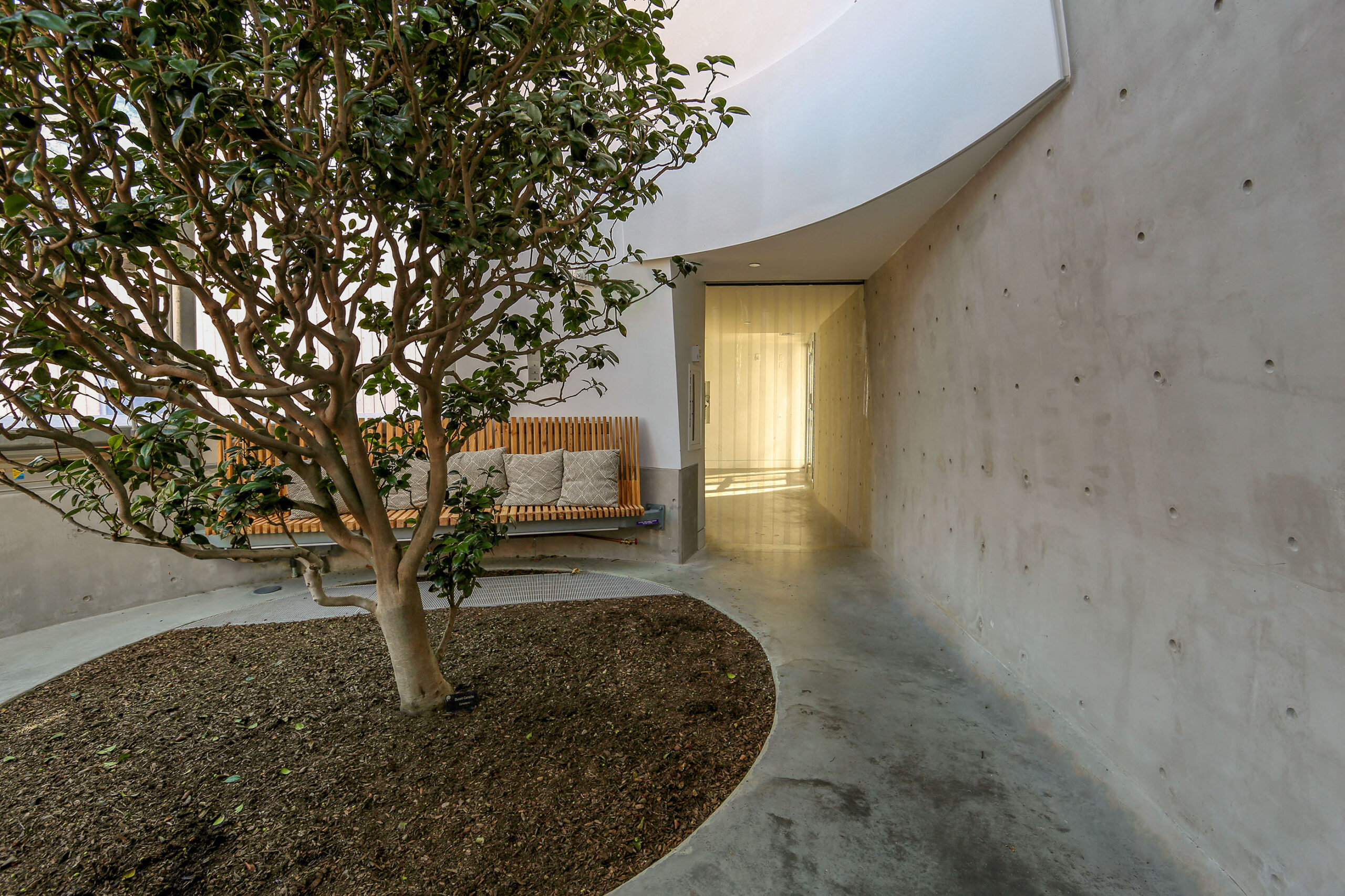 A tree near a seating area outside of a building.