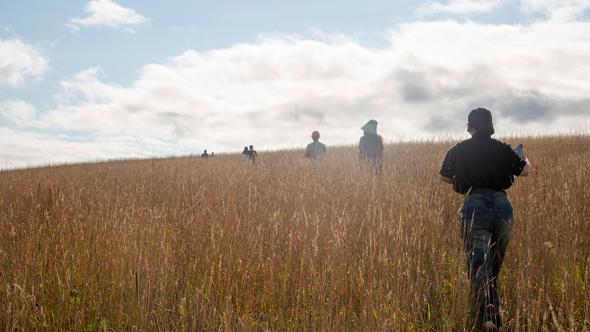 People run through a field.