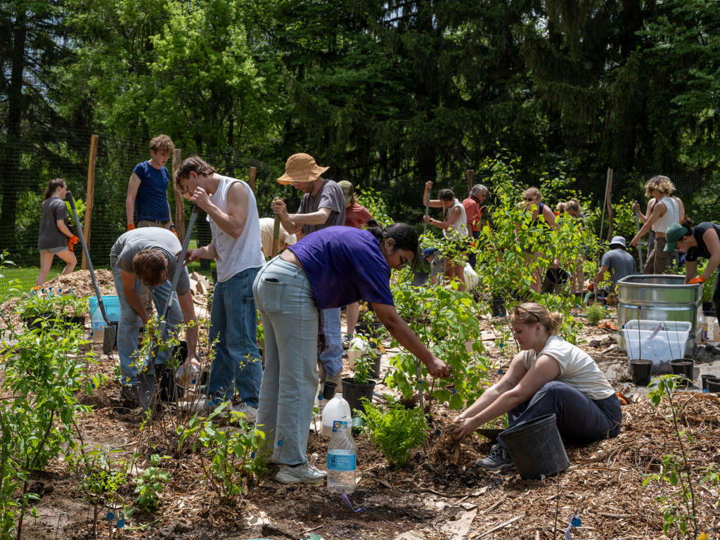 Students working in a garden