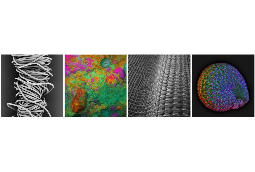 a series of four squares in a row depicting different shapes and colors