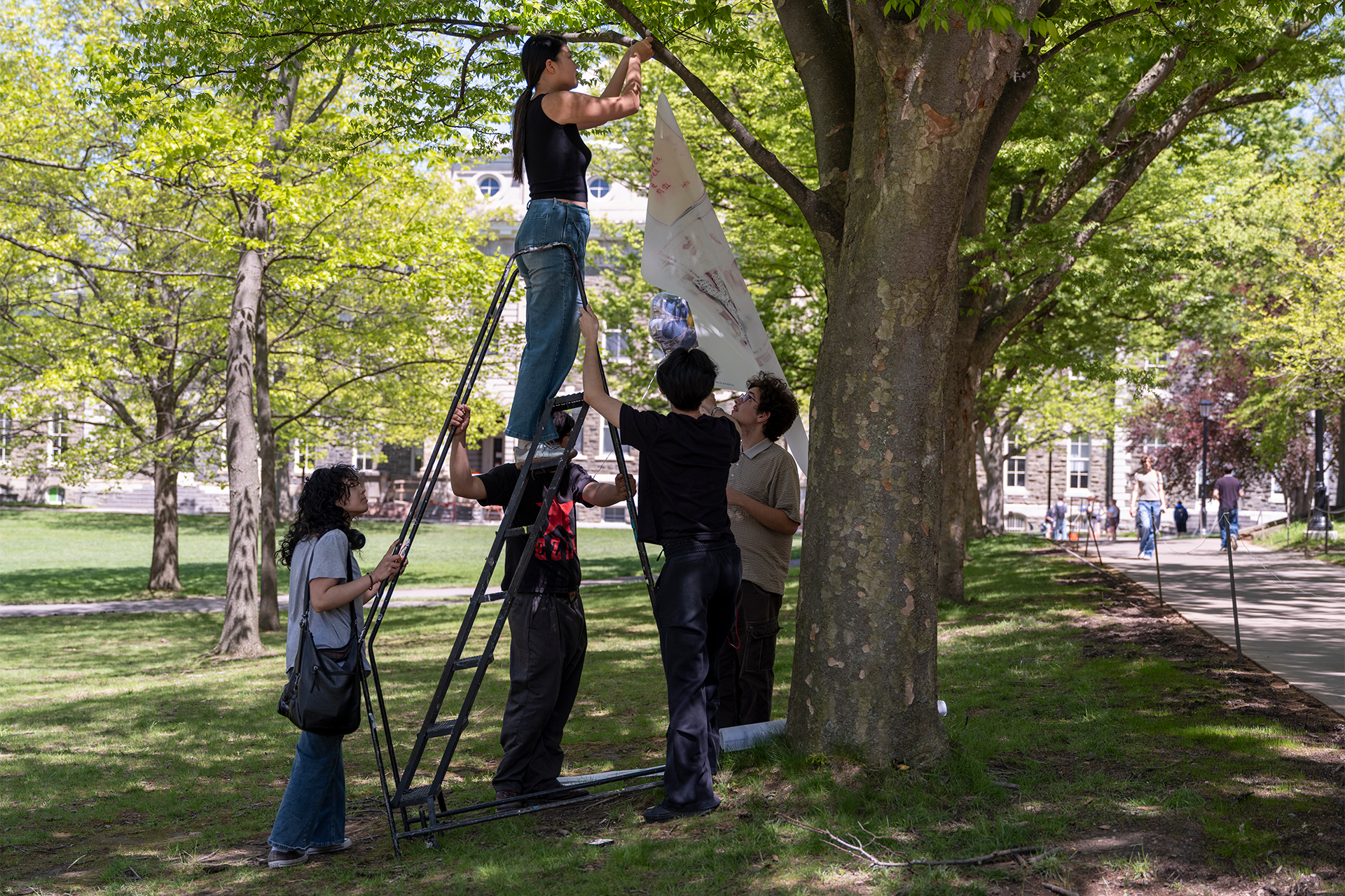 A person stands on a ladder next to a tree to hang a fabric panel while four other people help steady the ladder.