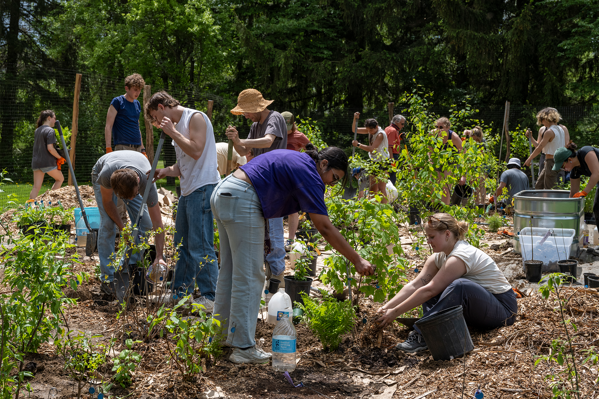 A group of people help with gardening, using a variety of garden tools.