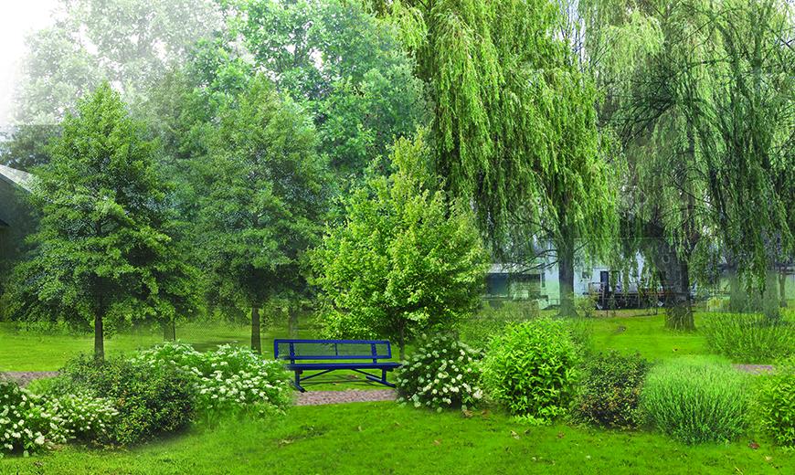Green park with large leafy trees and a blue park bench.