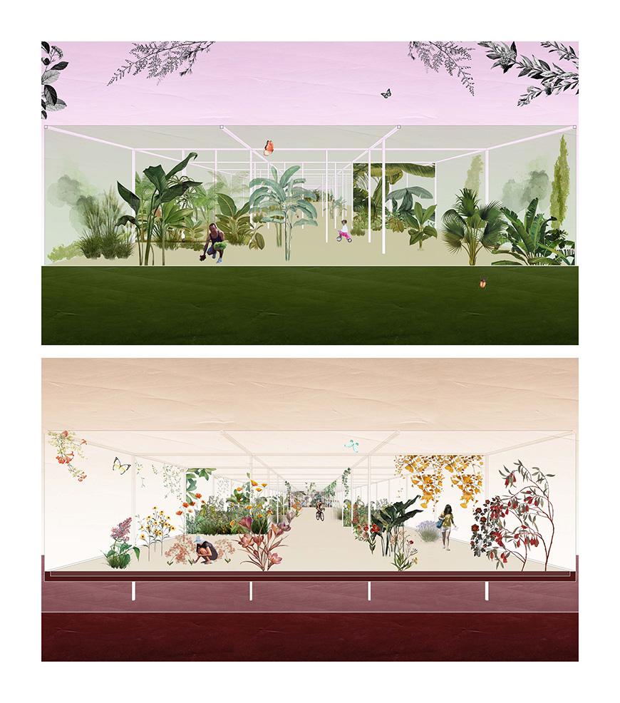 Digital rendering of two greenhouse style gardens with a variety of tropical plants inside.