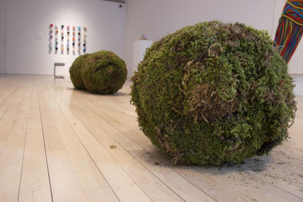 Closeup image of a moss ball sculpture on the ground.