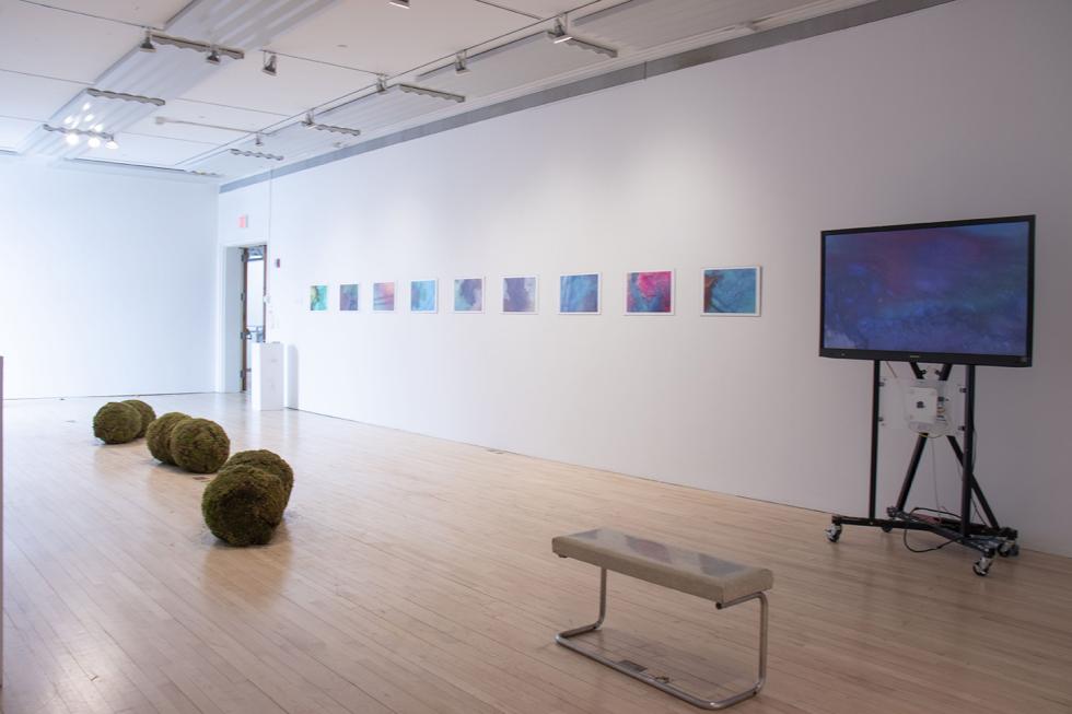 An installation view of an exhibition with a television, prints hanging on a wall, a gallery bench, and moss sculptures on the ground.