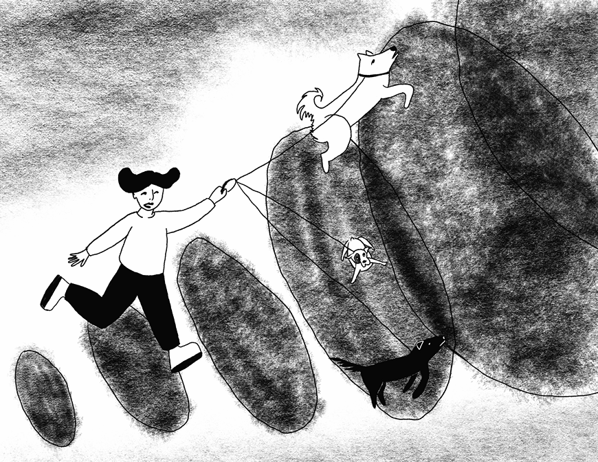 An animated image of a person walking three dogs.