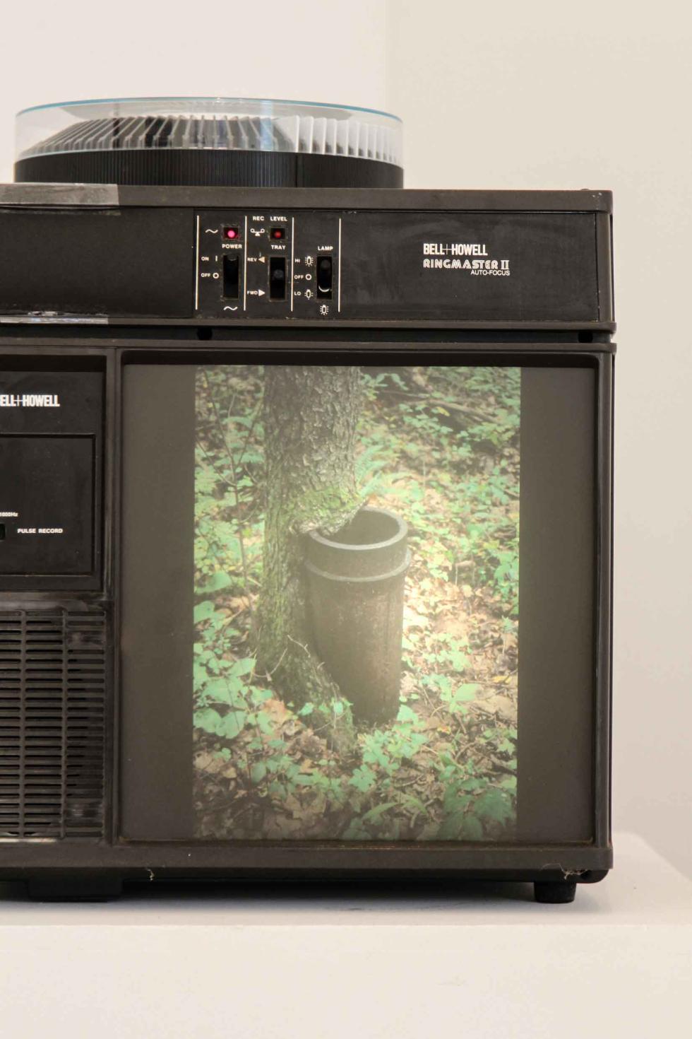 A close up of a projector displaying an image of a barrel sitting against a tree.