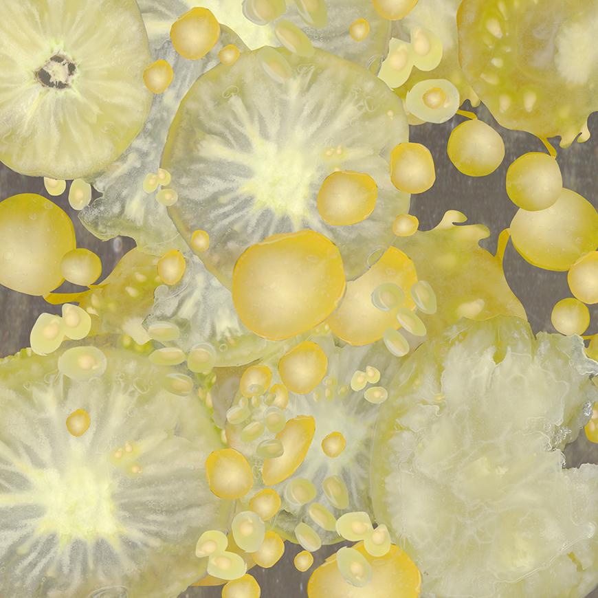 An abstract digital image of tomato seeds and slices.