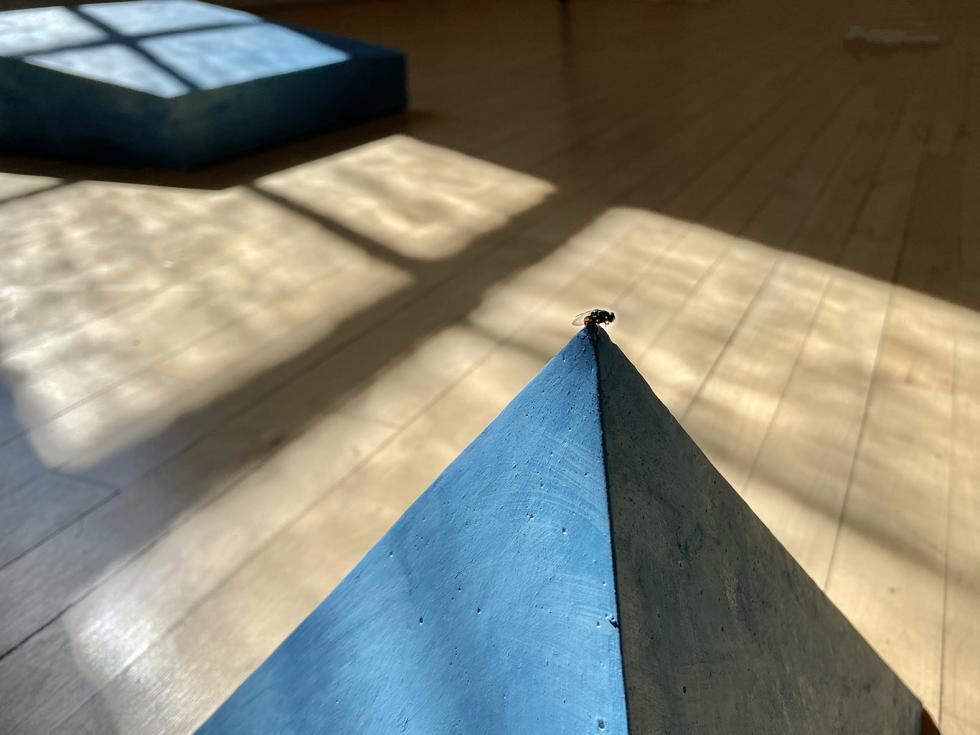 A pyramid sculpture in dark blue with a housefly on top of it.