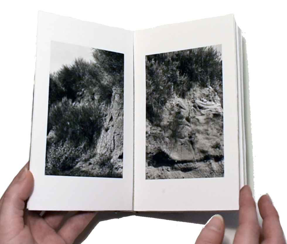 Person holds an open book that displays an image of a cliff.