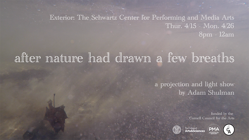 A poster announcing a performance with an image of a lake bottom.