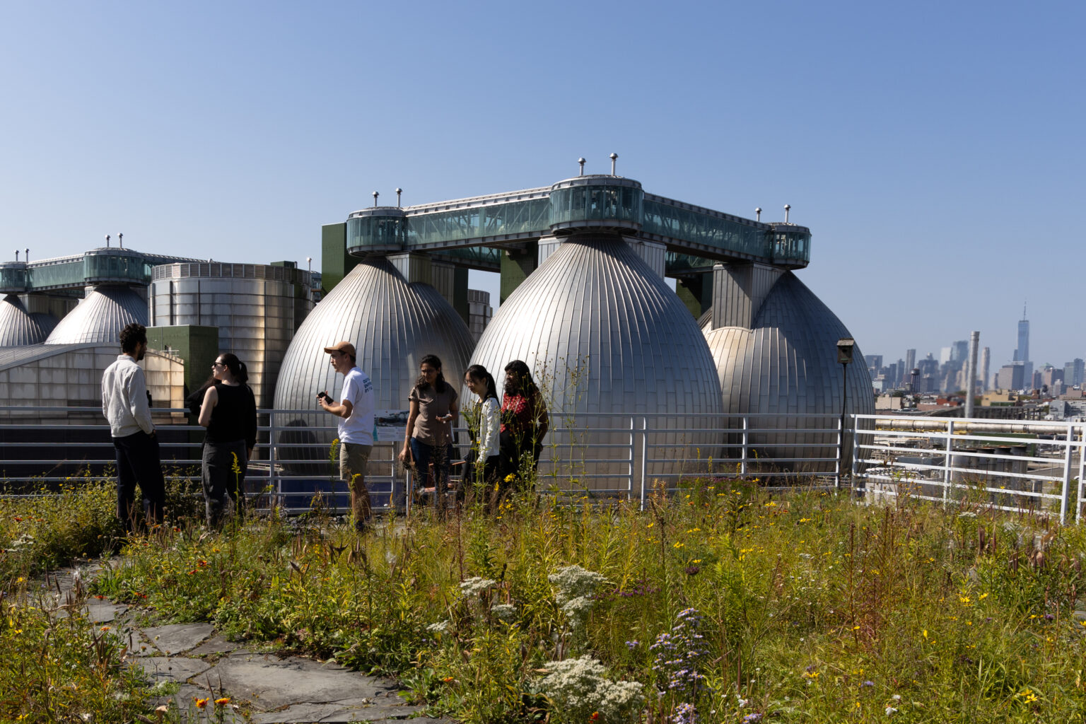 People stand in a garden while looking at industrial building structures.