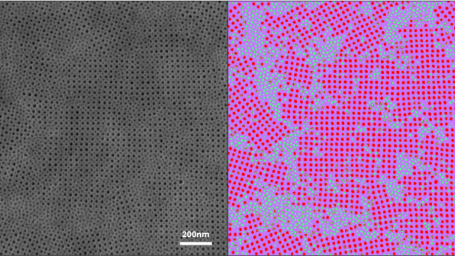 Side-by-side SEM and machine-learning segmentation reveal how different micelle chemistries pattern the membrane surface to enable chemical-affinity sorting.