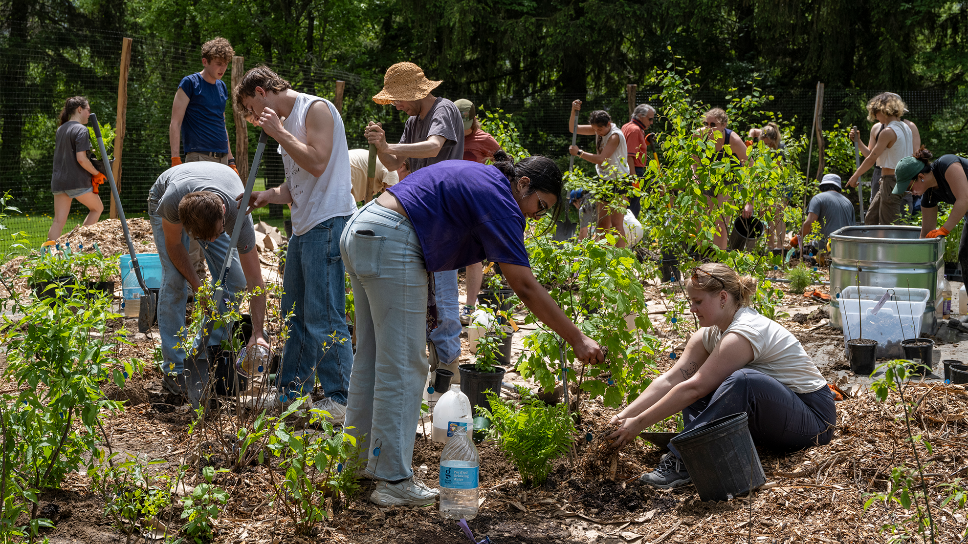 People planting flowers and trees with gardening tools.