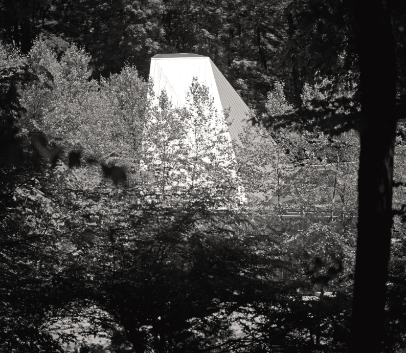 black and white photo of modern building in wooded setting