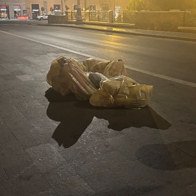 A few bundles of trash sit in an open road.