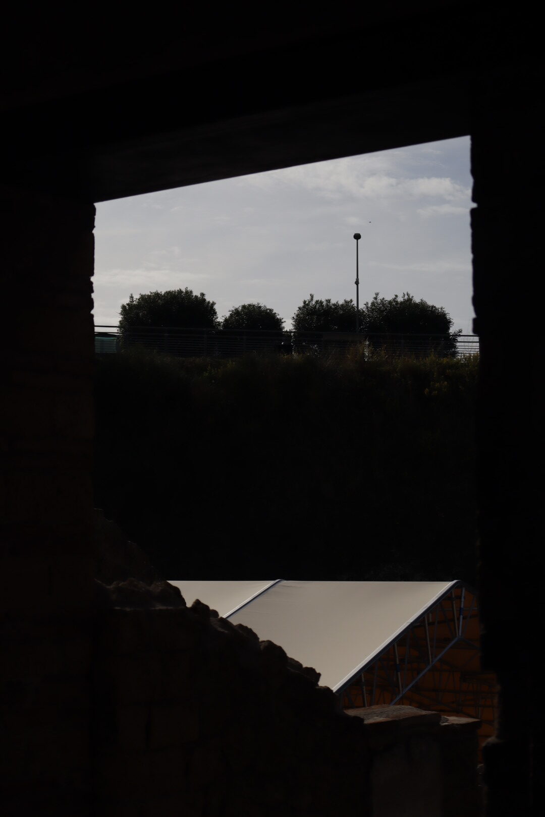 trees, light post, and railing as seen from inside a dark room