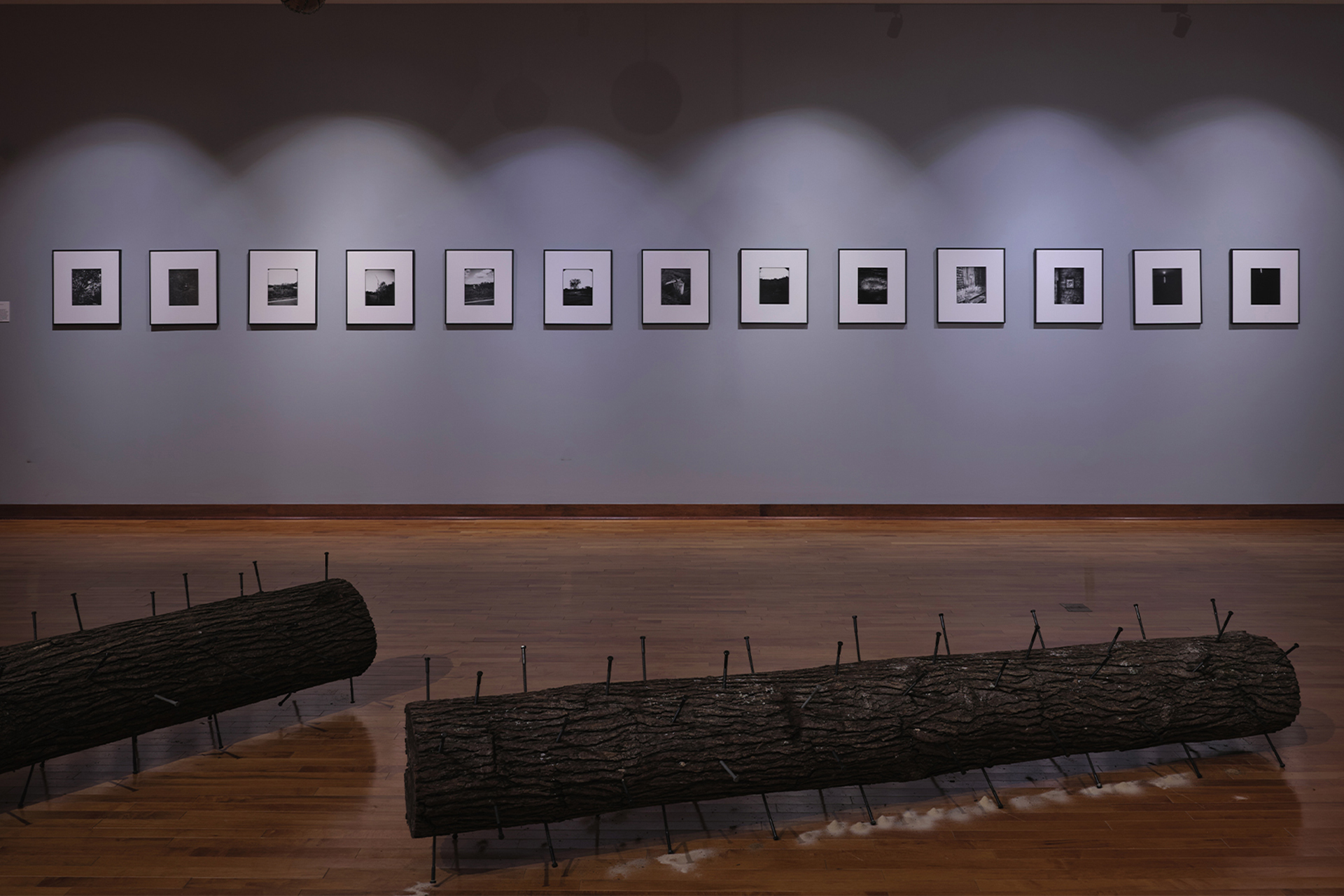 An installation view of a series of framed photographs and two large logs with nails sticking out of them.