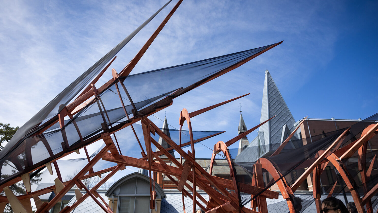 A large wooden dragon sculpture with semi-transparent black fabric.