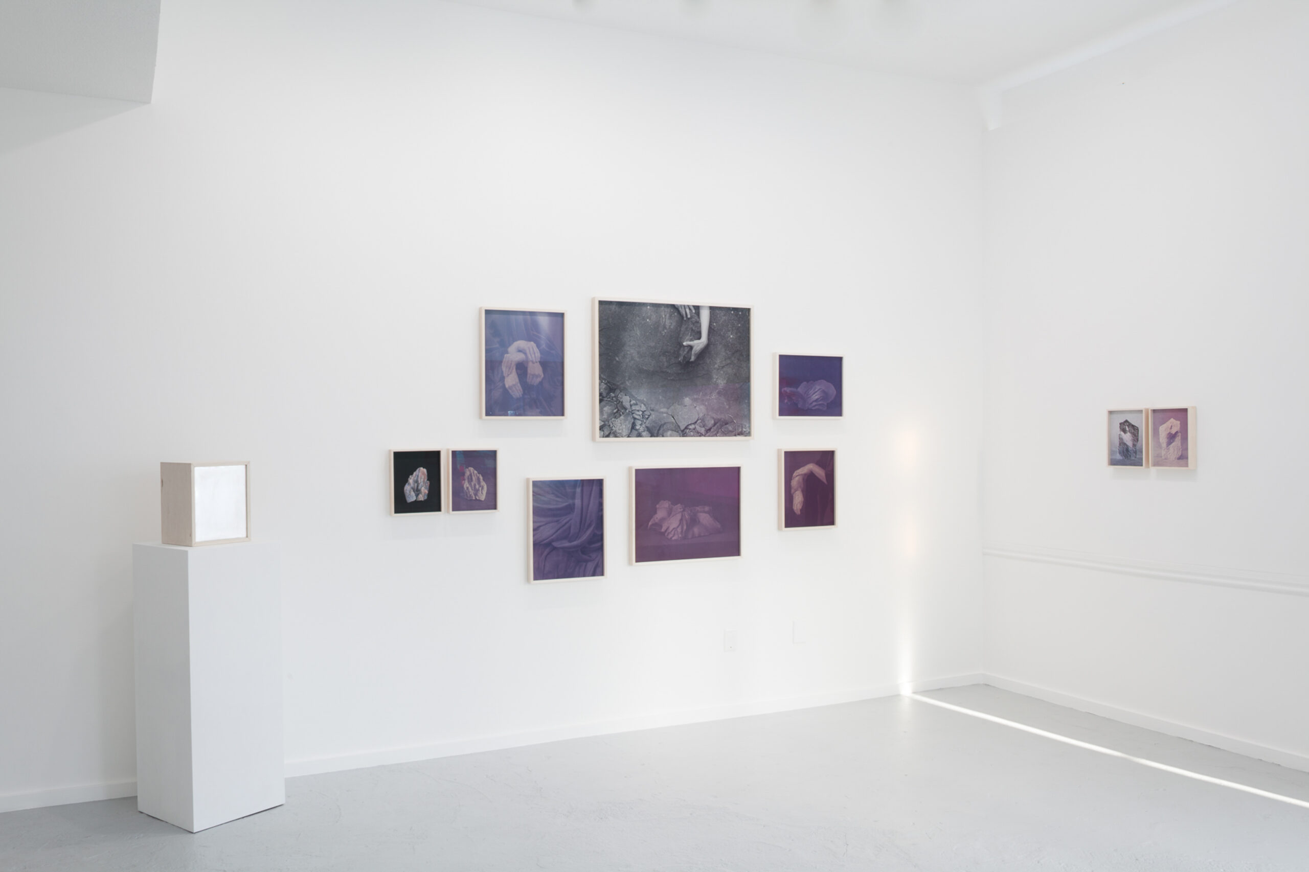 An art gallery with several framed photographic prints on the walls.