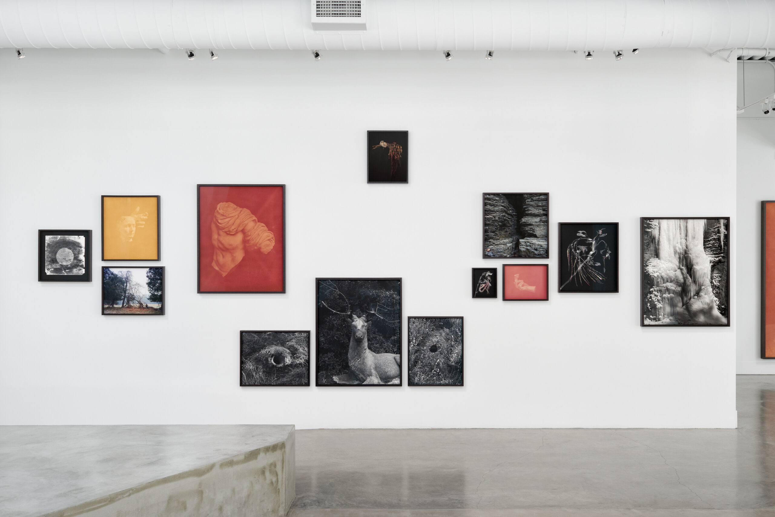 An art gallery with framed art prints of varying sizes on the wall.