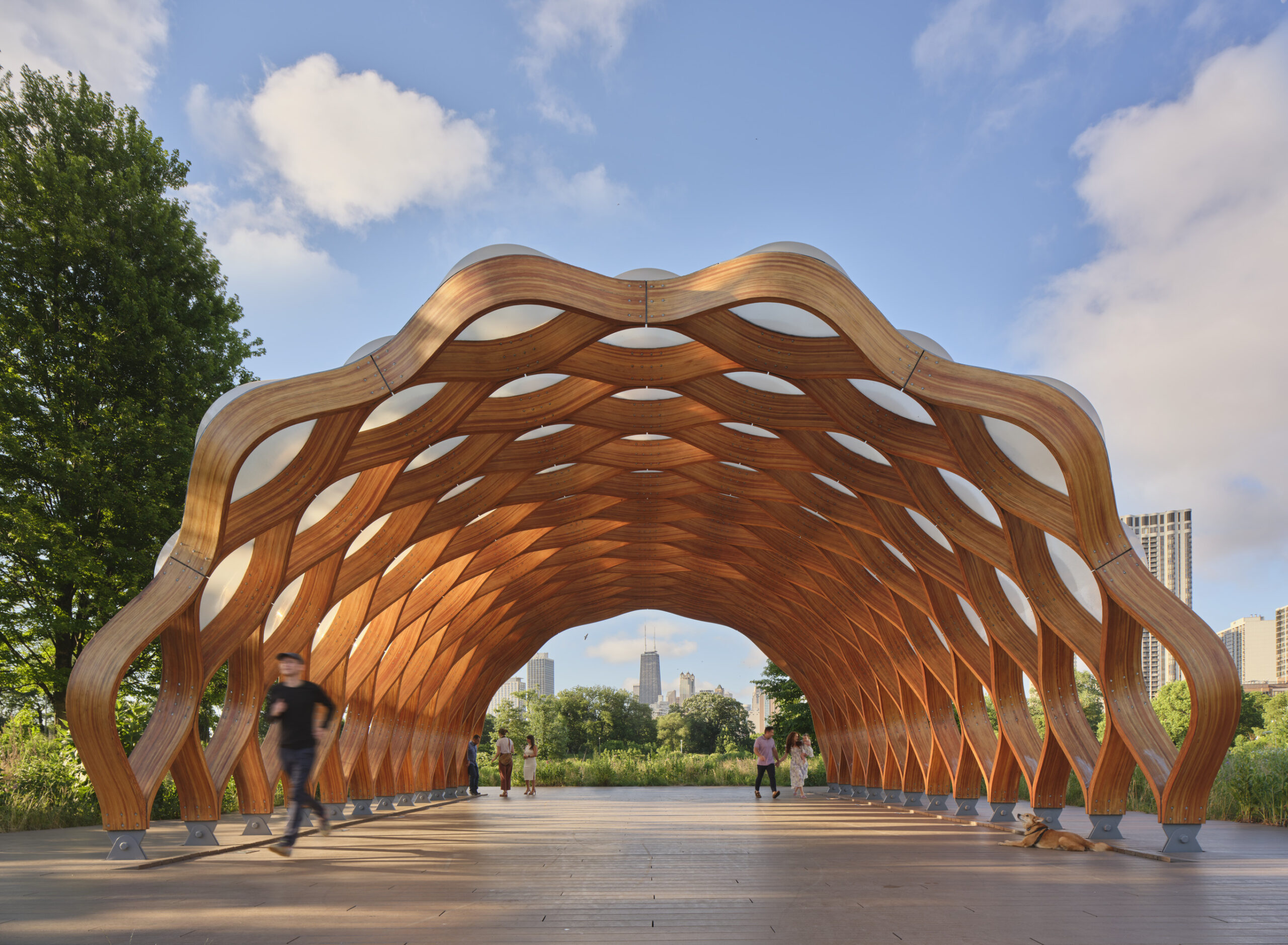 a tunnel over a walkway made of thin wooden ribs